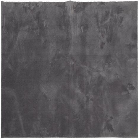 Tapis HUARTE à poils courts doux lavable anthracite 240x240 (1/5)