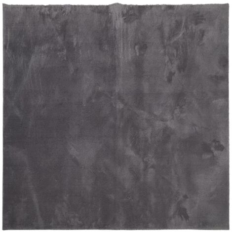 Tapis HUARTE à poils courts doux lavable anthracite 120x120 (1/5)
