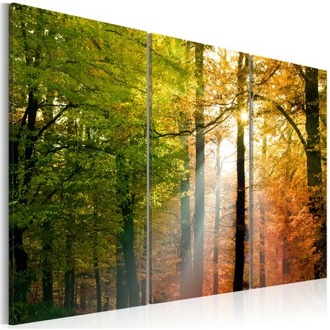 Tableau Peinture Paysage - Forêt - Couleurs - Nature - 60x40 cm -  Décoration murale