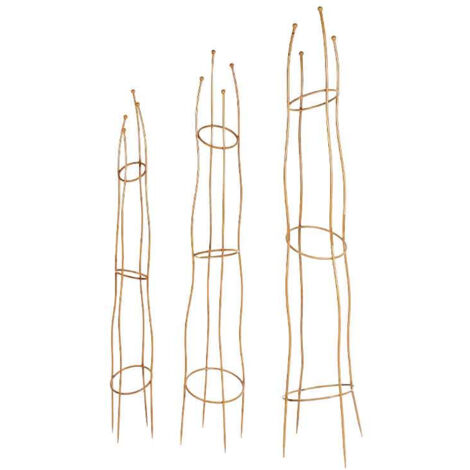 Ensemble 3 supports plantes grimpantes 30x30x171cm (1/2)