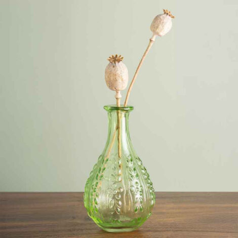 Vase Liseron vert verre15x9x9cm (1/4)