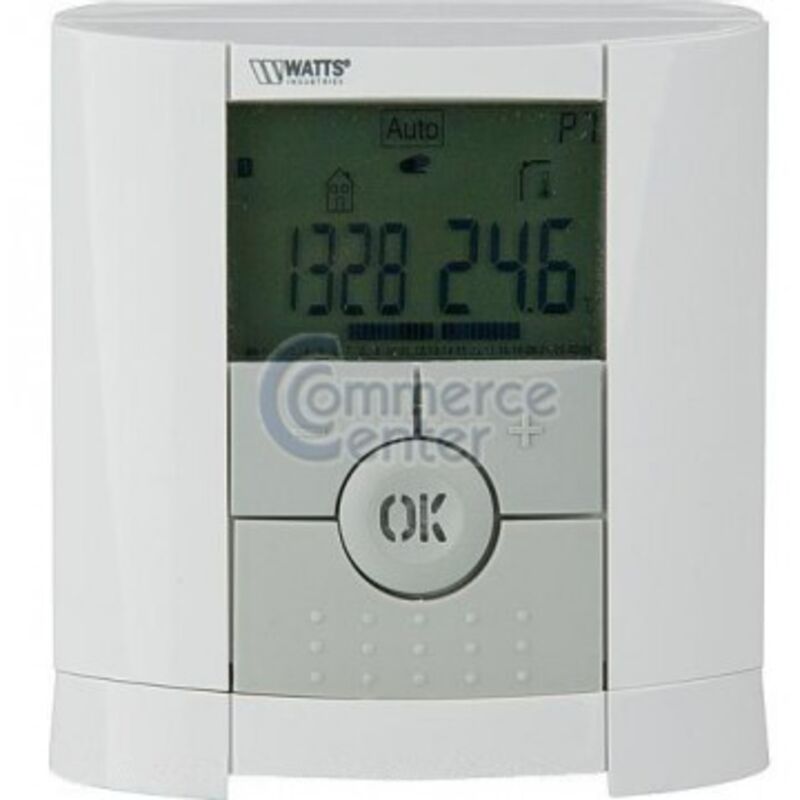 Thermostat digital programmable BTDP WATTS 22P04543