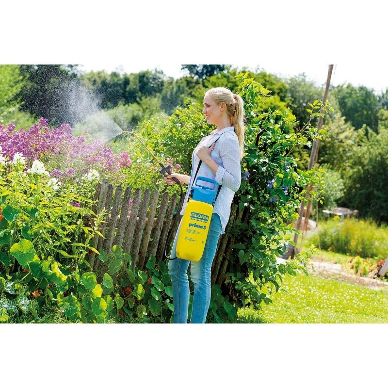 Pulvérisateur à Pompe 3 L Avec Bras Extensible - Pour Arrosage Jardin, Nettoyage Terrasse, Plantes En Pot