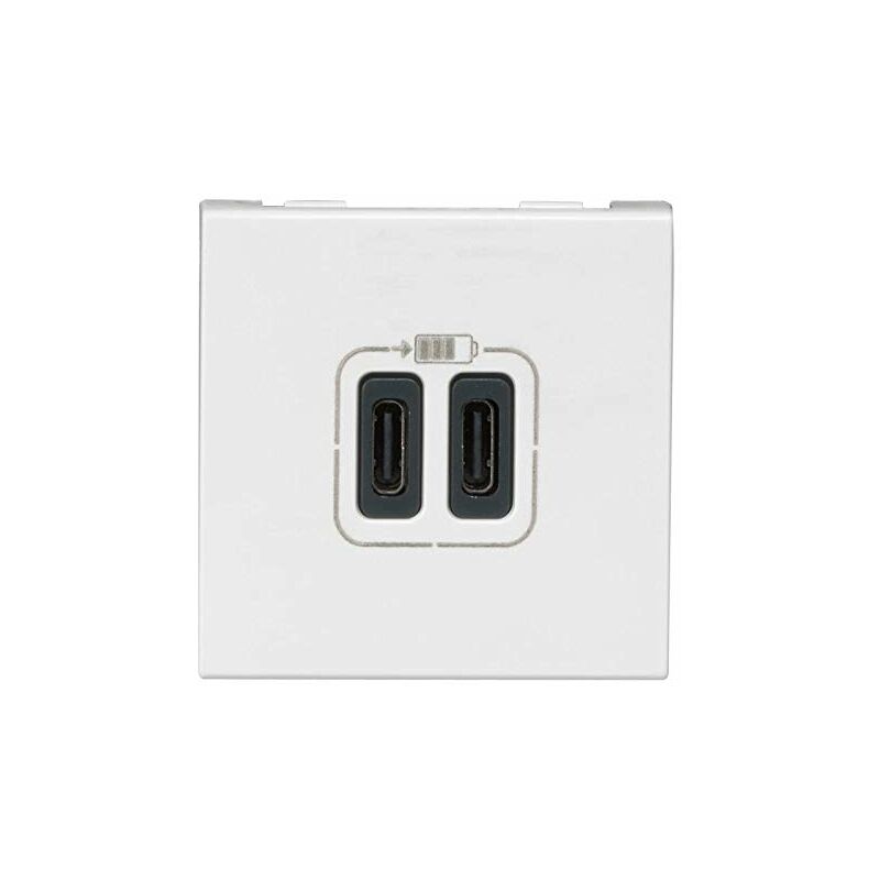 Chargeur 2 USB MOSAIC type-C 3A 2 modules 230V blanc - LEGRAND - 077590