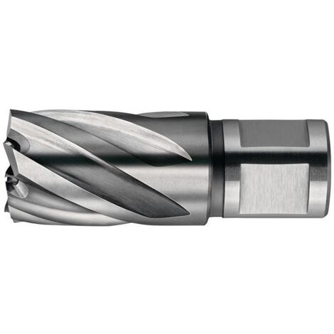 Fraises HSS Nova 50 diamètre 24mm 50mm Weldon - FEIN - 63134240052