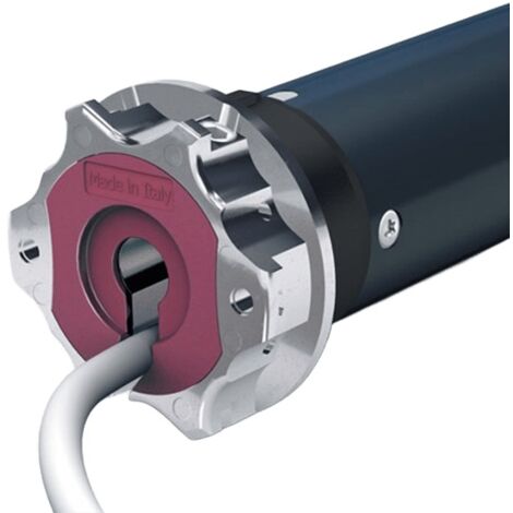 Moteur GARDA 32Nm 17 tours diamètre 45mm - CHERUBINI - CME45321705C
