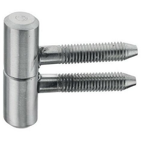 Fiche à visser 16x45mm acier finition zinguée blanc - MONIN - 651510
