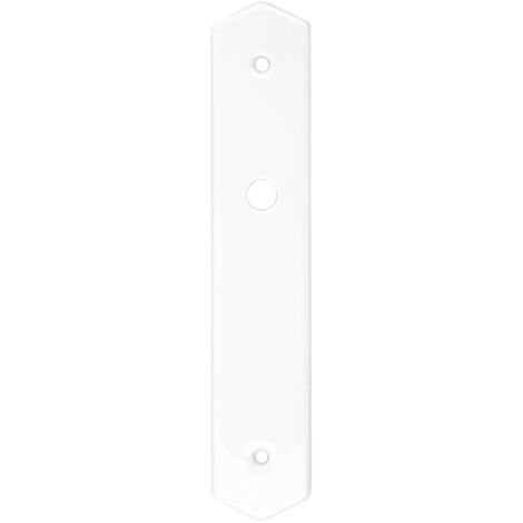 Plaque simple condamnation ovale LT MERIGOUS V011011100
