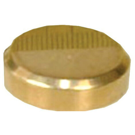 Cache vis plat diamètre 16mm laiton poli boîte de 10 - GUITEL - 9020D16S10 (1/2)