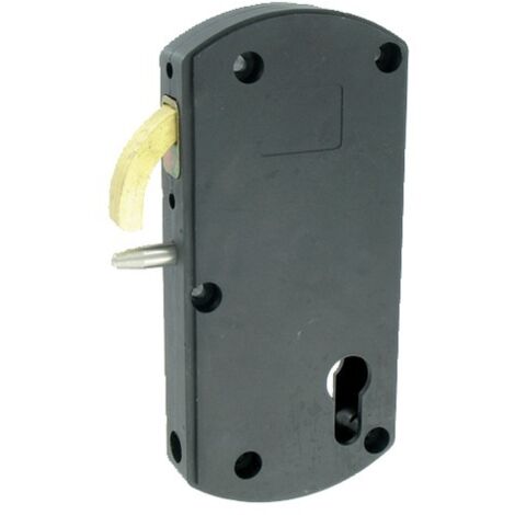 Serrure à mentonnet Modulox noire pour portail coulissant motorisé - TIRARD - GB592005 (1/2)