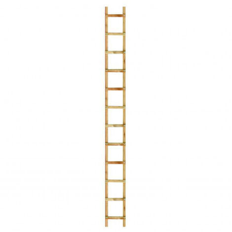 Echelle de couvreur 3 m écart 25cm - OUTIFRANCE - 8833030