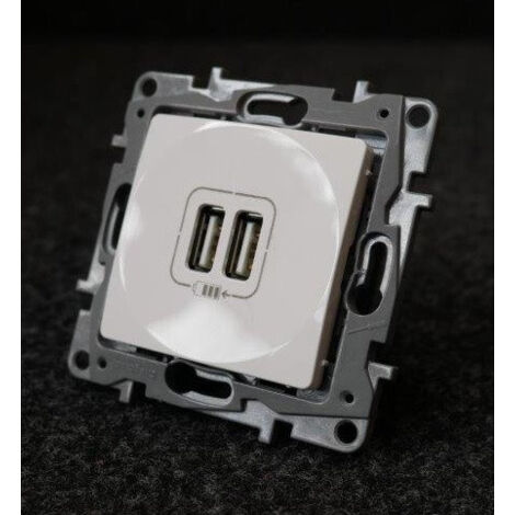 Double chargeur USB Niloé 2400mA blanc - LEGRAND - 664794 (1/2)