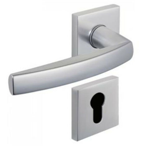 Ensemble sur rosace carrée CITYZEN 6421 anodinox clé I - VACHETTE - 080234