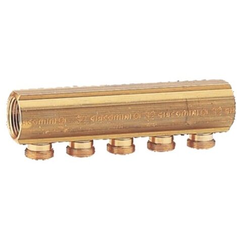 Collecteur 4 S R580 1 M16 - GIACOMINI - R580Y064 (1/4)