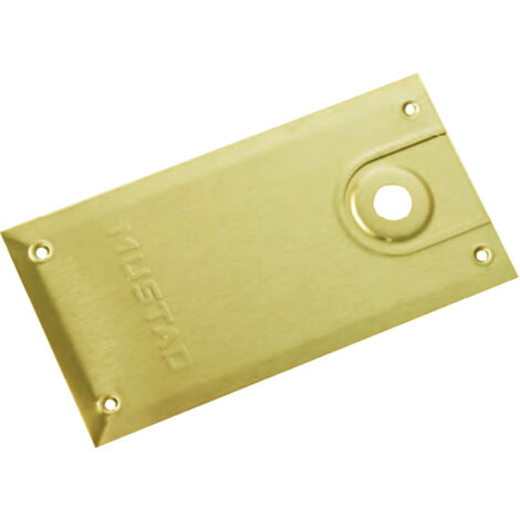Plaque de pivot grand modèle 710.02GR pour série 8610 laiton poli - LCN - 3050705080