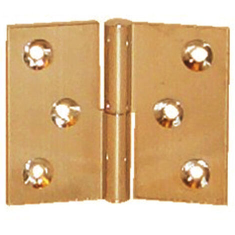 Paumelle de meuble laiton poli 50x40mm gauche noeud de 6mm - PO5140S10
