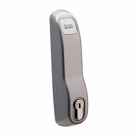 Module antipanique PREMIUM EVOLUTION PE12 MEC gris VACHETTE 14593000