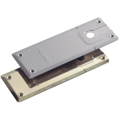 Plaque de pivot 710.01 pour série 8610 inox - LCN - 3050705064