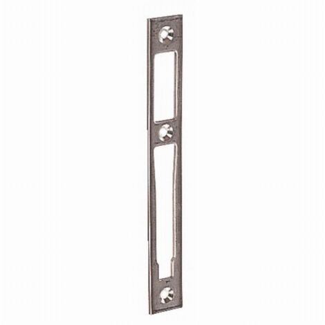 Gâche pour portail en inox 22x175mm – Conception renforcée pour sécurité optimale – Installation rapide et simple