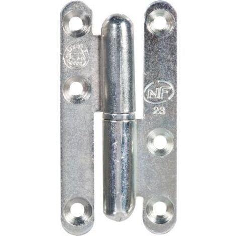 Paumelle ordinaire BR ZB 80x45 G