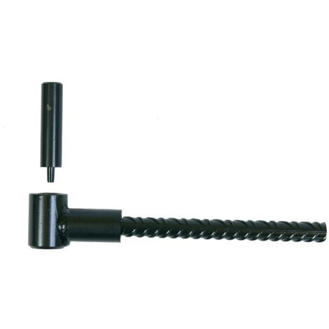 25 Gonds de volet Parpaing D. 12 x 125 mm - Clav. D. 14 mm - Double volet - Noir (1/6)