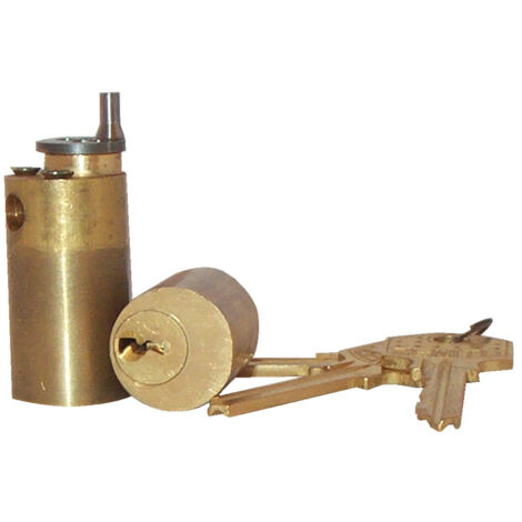 Jeu de cylindres ZENITH pour serrure laiton poli 45mm - ISEO - 56370451S
