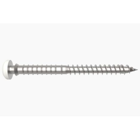 Vis à bois réglable SPTR V6 14 blanc 6x60 mm – Acier au carbone – Boîte de 100 unités – Tête cylindrique bombée pour menuiserie