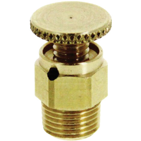 Purgeur d'air à volant rotatif 1/4'' - WATTS - 101333