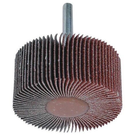 Pack de 2 lames de scie sabre MM22524Bi pour métal 225mm - HANGER - 150305 (1/2)