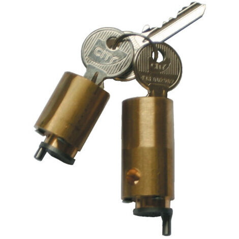 Cylindre de serrure laiton 30/30mm – Livré avec 3 clés – Protection renforcée – Pour portes d'entrée – Is&Eacute (1/3)