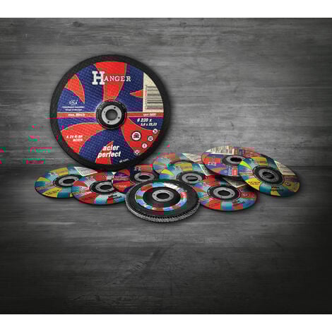 Disque bombé à lamelles zirconium 125mm grain 60 - HANGER - 150031