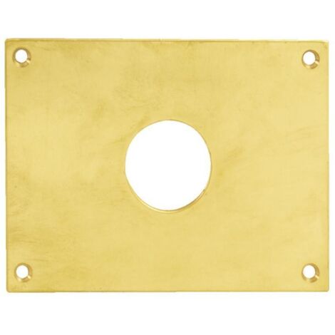 Plaque de propreté trou rond 32 laiton poli 160x90mm HERACLES 251952 TR32