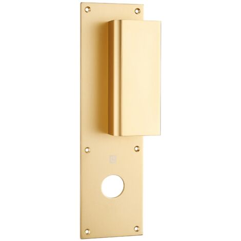 Poignée palière aluminium type Bastille 70x250mm champagne trou de 24 - HERACLES - I-231102TR24
