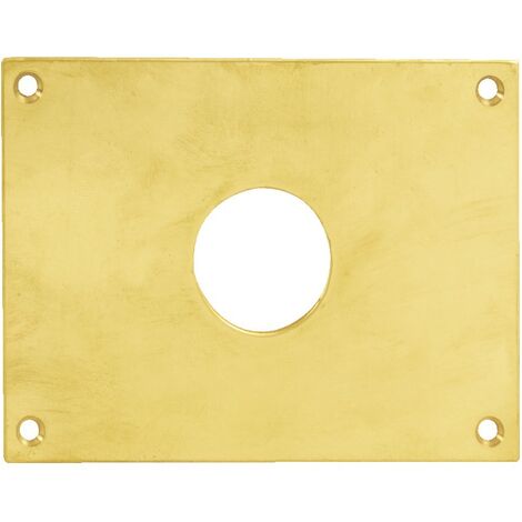 Plaque de propreté trou rond 30 laiton poli 120x80mm - HERACLES - 251852-TR30