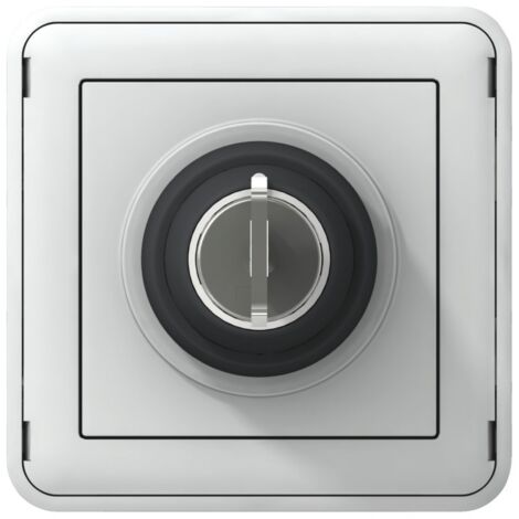 Interrupteur à clé étanche PLEXO 3 A 250 V - LEGRAND - 069534