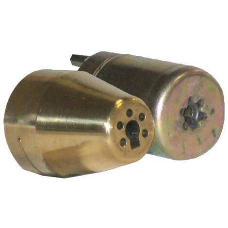 Jeu de cylindre CAVERS IZIS pour serrure cambrée A2P3 - ISEO - 56290061