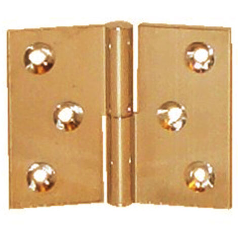 PAUMELLE LAITON POLI 40X50 DROITE NOEUD 6 AXE ACIER - QCDR - PO4150S10 NOTRE SELECTION (1/2)