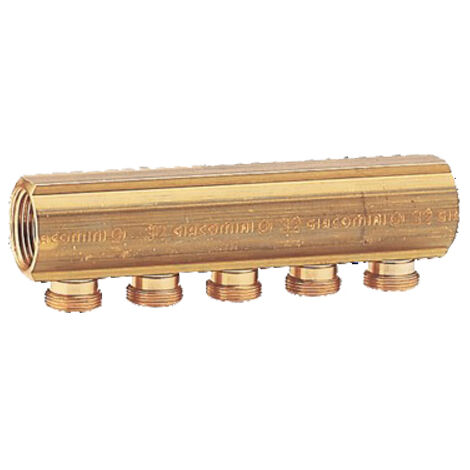 Giacomini – Collecteur 10 sorties mâles pour tubes PB/PER et multicouche – Entraxe 35 mm – Pression 16 bar – Température 5 à 110 °C – R580Y070
