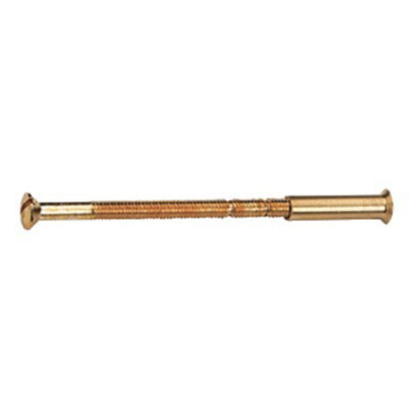 Vis reliure laiton 30 à 65mm - CADAP - VR3065/1V