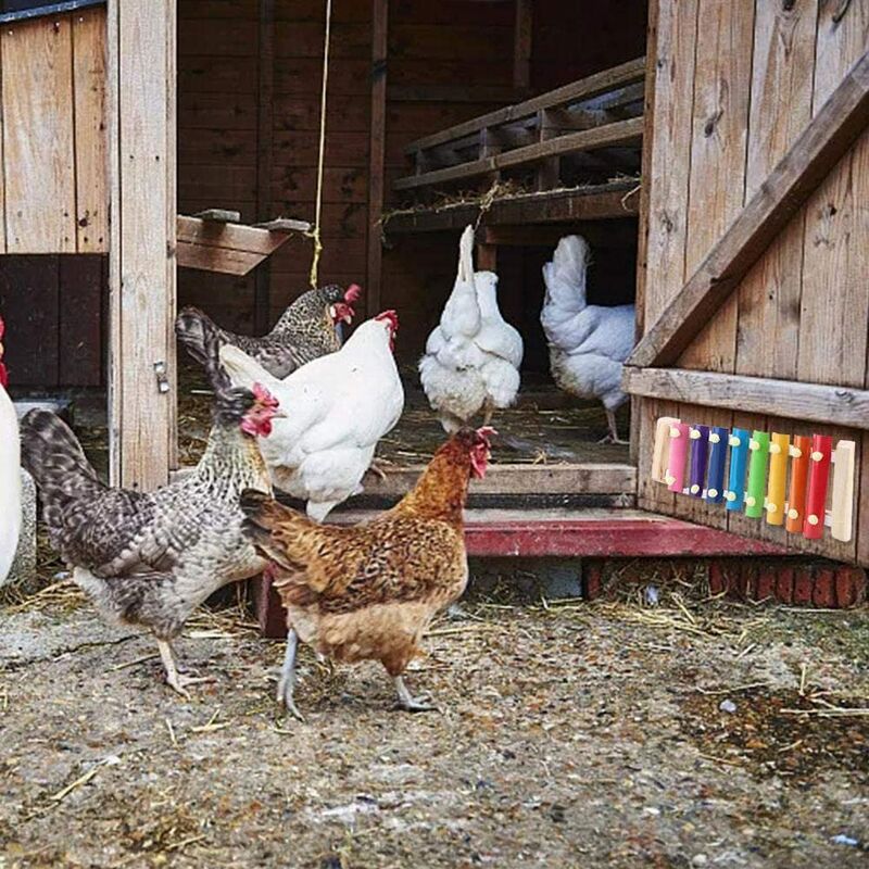 Hühnerspielzeug,Huhn Gemüse Spieß Obsthalter und Aufhängbares Holz Xylophon Spi 