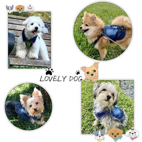 QEQRUG Hundebekleidung Jeansjacke Hundeweste Vintage Gewaschene Denim Hundekleidung für kleine mittelgroße und große Hunde Katzen Welpen Haustier Kleidung Ripped Loch Hundehemd 