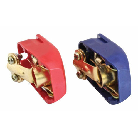 NXPUXP 1 Pairs Bornes De Batterie De Voiture,12 V Cosses Batterie