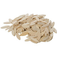 Silverline – Lamelles bois pour assemblages taille 0 – 200 pièces – Pour bois dur et contreplaqué – Coupe nette sans éclat