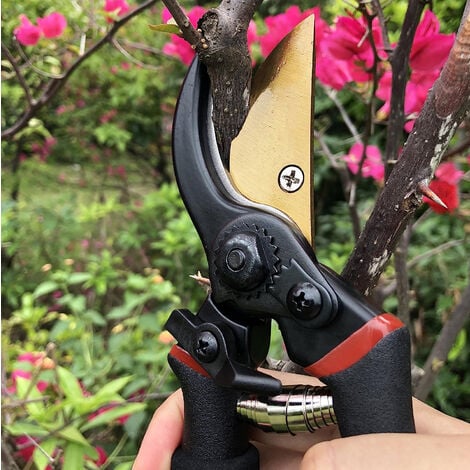 Sécateur léger à manche Long en bois, ciseaux de coupe de branches d'arbre  de jardin à fleurs, outils à main bonsaï