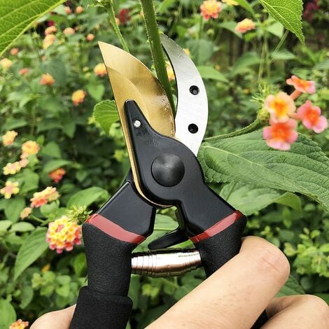 Sécateur de jardin, sécateur d'enclume, 215 mm de bois vert et sec Bypass  Cut Flower Scissors, Noir