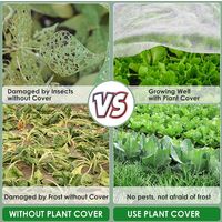 Voile D'hivernage 3x10 M - 30 G/m² - Protection Plantes Contre Le Froid Et Le Gel - Blanc, Respirant Et Réutilisable