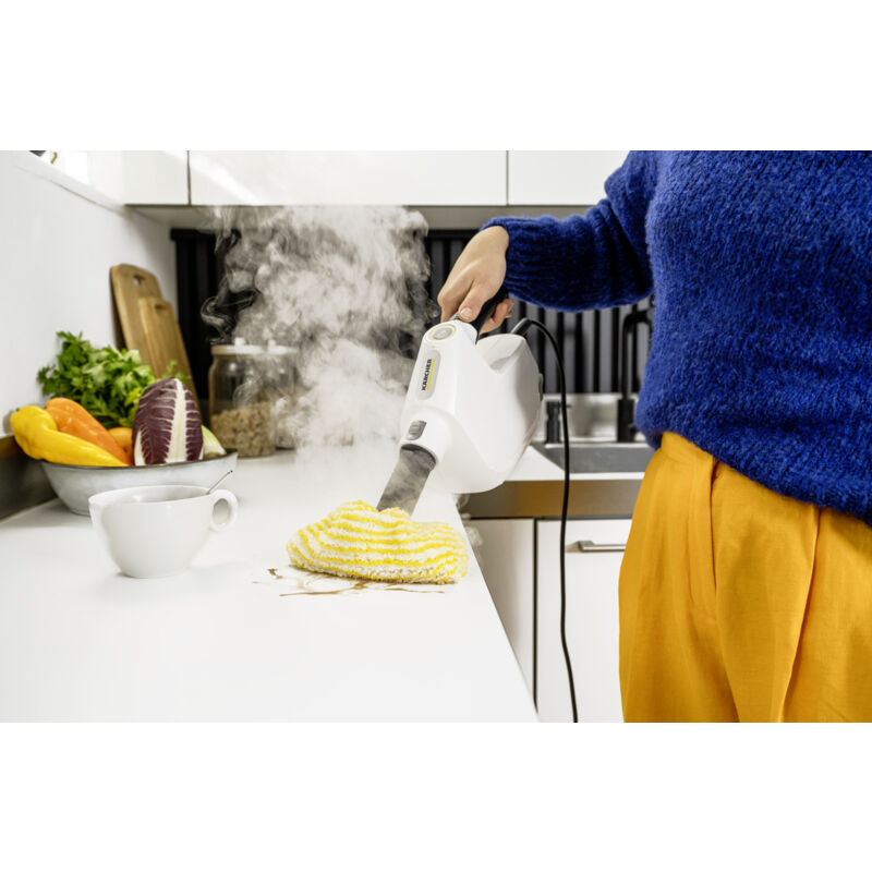 Nettoyeur Vapeur Portable 14 Accessoires - Puissance 105°C, 250ml D'eau, Pour Salle De Bain, Cuisine, Voiture