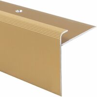 Stufenkantenprofil Safety Form: F Elegant Gold M 100 cm