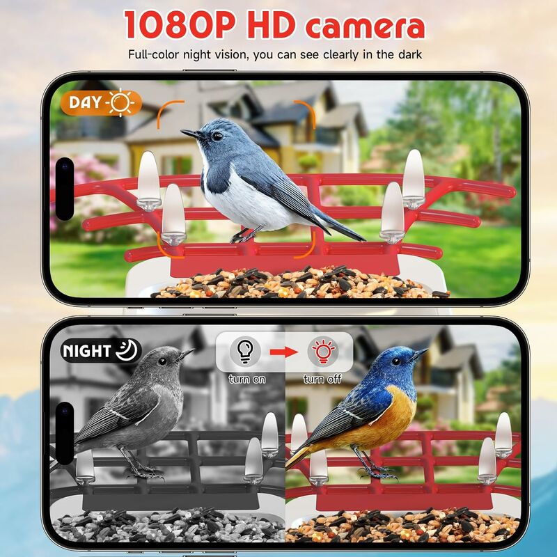 Mangeoire à Oiseaux Intelligente avec Caméra, Détecteur Infrarouge  Automatique PIR pour Oiseaux, Vision Nocturne HD 1080P, Microphone Intégré  avec Mangeoire à Colibri, Vert 32 Go rouge