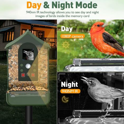 Mangeoire à Oiseaux Intelligente avec Caméra, Détecteur Infrarouge  Automatique PIR pour Oiseaux, Vision Nocturne HD 1080P, Microphone Intégré avec  Mangeoire à Colibri, Vert 32 Go rouge